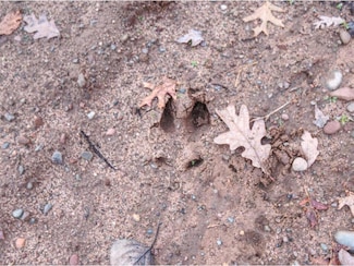 XXXX Aspen Hill Court Ct, Danbury, WI 54830