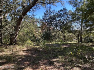 0 Robert Hiram Dr, Gautier, MS 39553