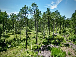 321 William Colvin Rd, Bernice, LA 71222