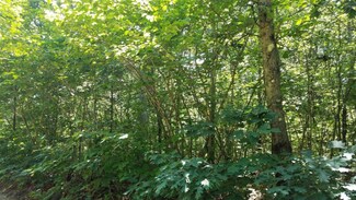 0 Kent Rd Unit LOT U 18038567, Rothbury, MI 49452
