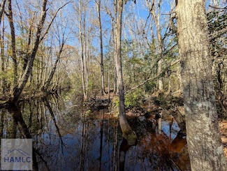 0 U S 301, Jesup, GA 31546