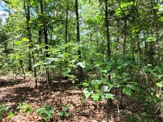 TBD Duncan Rd, Poughkeepsie, AR 72569