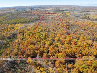 56177 Duncan Rd, Wilma Township, MN 55072