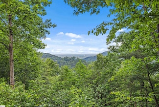 214 Craggy Rock Ln, Landrum, SC 29356