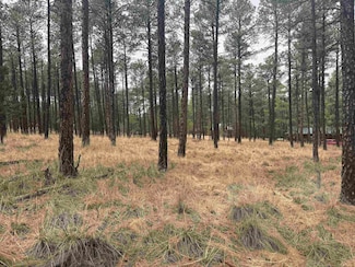 0 Balkans Dr Unit 170867, Timberon, NM 88350