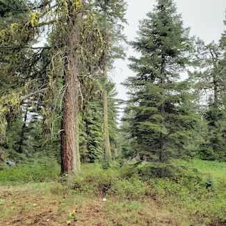 20 Andy Ln Unit 73, Donnelly, ID 83615