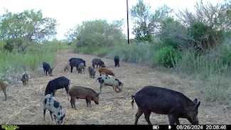 0 Farm To Market 716 Unit 447842, Realitos, TX 78376