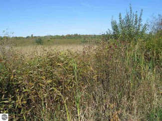 0 Ora Lake Rd, Hale, MI 48739