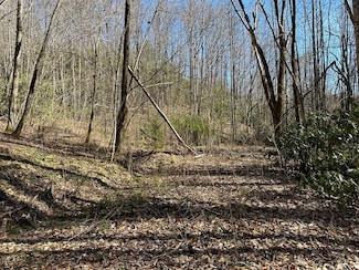 LT 7 Valley View Heights Ln, Andrews, NC 28901