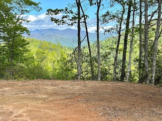 31 & 32 Middle Ridge, Whittier, NC 28789