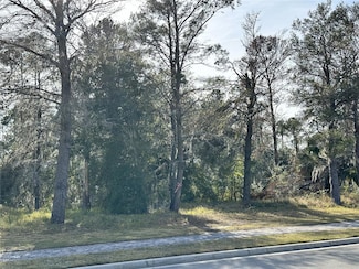 16015 Pendio Dr, Bella Collina, FL 34756