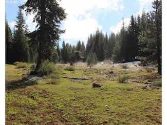 0 Keno Access Rd Unit 20165778, Oretech, OR 97601