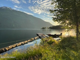 USS 3625 Lot 5 Portion Chilkat Lake, Haines, AK 99827