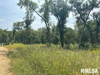 lot 1 225th St, Dewitt, IA 52742