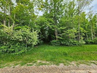 0000 Beachview, Casco Township, MI 49090