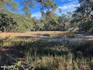 2 Cordgrass Loop, Beaufort, SC 29907