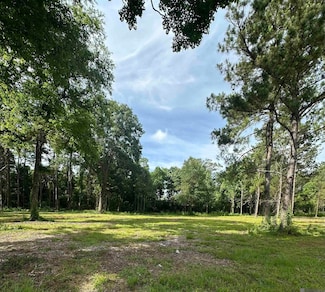 Tract E Louisiana 16, Denham Springs, LA 70706
