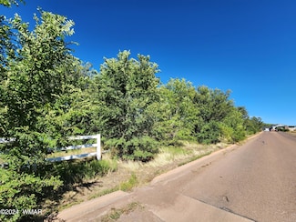 0 W 19th St S, Snowflake, AZ 85937