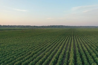 0 Old River Rd, Sledge, MS 38670