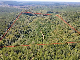 0 Peppers Bridge Rd, Goodwater, AL 35072