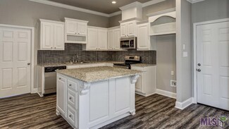 25463 Black Lake Ave, Livingston, LA 70754