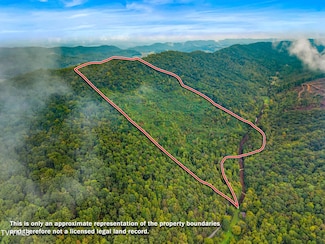 1775 Snake Hollow Rd, Sneedville, TN 37869