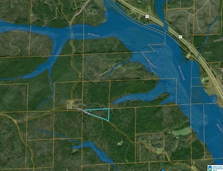 TBD Little Hope Rd, Centreville, AL 35042