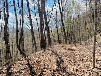 0 Skyline Dr, Waynesville, NC 28786