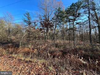 0 Robertson Rd, Penn Forest Township, PA 18229