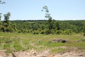 39250-9260 Arkansas 27, Witts Springs, AR 72686