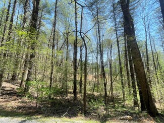 Lot 2 Mountain Meadows Rd, Franklin, NC 28734