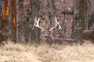 178 Oak Creek Ln, Bland, MO 65014