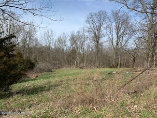 3100 Greens Chapel Rd, Bloomfield, KY 40008