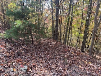 0 Canterbury Rd, Murphy, NC 28906