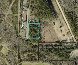 0 Sands Dr, Poulan, GA 31781