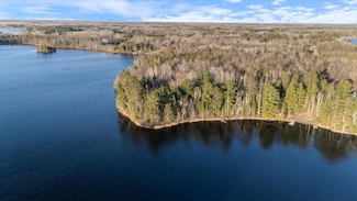 TBD Saint Louis Co 734, Alborn Township, MN 55702