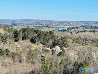 1161 Bakers Chapel Ln, Guntersville, AL 35976