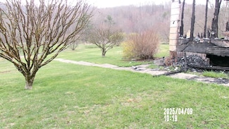 906 Will Dodd Rd, Jumping Branch, WV 25969