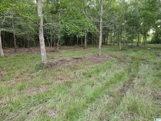 0000 Alabama 22 Unit 30, Rockford, AL 35136