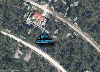 1219 Cockatoo Ave, Lake Placid, FL 33852