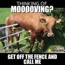 68 Lepere Ct, Dupo, IL 62239