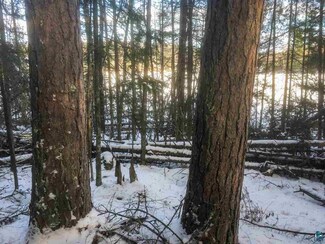 TBD Balsam Ln, Biwabik, MN 55708
