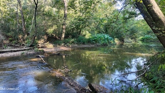 0 N Greensburg Rd Unit 4124778, Liberty, MS 39645