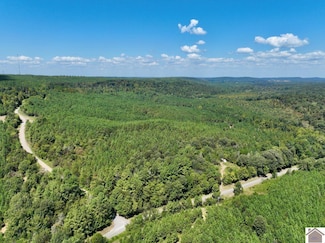 000 State Route 1433 Unit (Livingston Co. KY 1, Salem, KY 42078