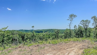 0 W Trace Creek Rd, Waverly, TN 37185