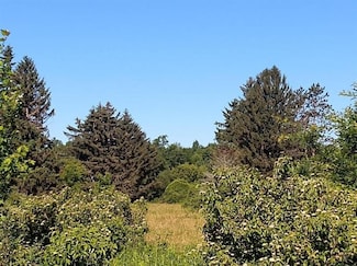 Lot 10 Rt 618, Conneaut Lake - Cra, PA 16316