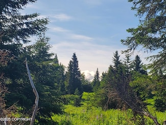 17490 Chefornak St, Happy Valley, AK 99639