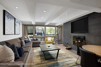 124 W Hyman Ave Unit 2B, Aspen, CO 81611