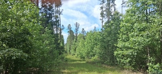 TBD County Road 1581, Avinger, TX 75630