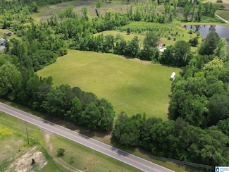 0 Montgomery Hwy Unit 1 21418961, Centreville, AL 35042